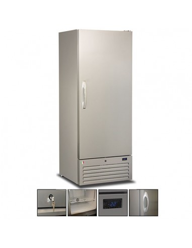 Armadio congelatore 525 lt Gourmet 600 NA