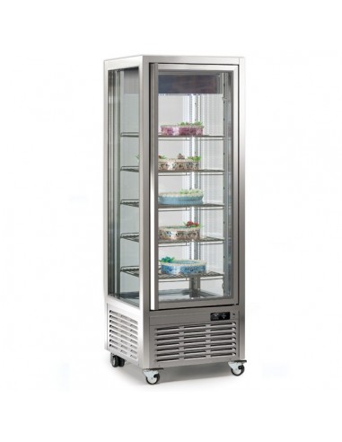 Vetrina verticale da 450 Lt a bassa temperatura