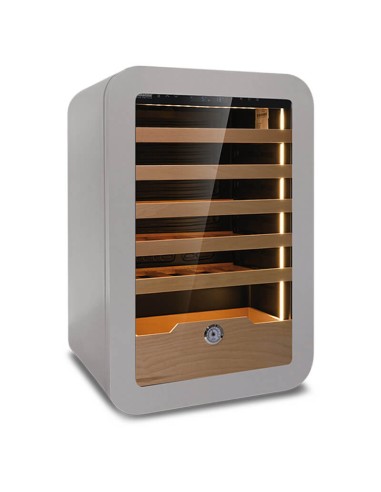 Ventilated wine cellar for 36 bottles +2 °C / +20 °C