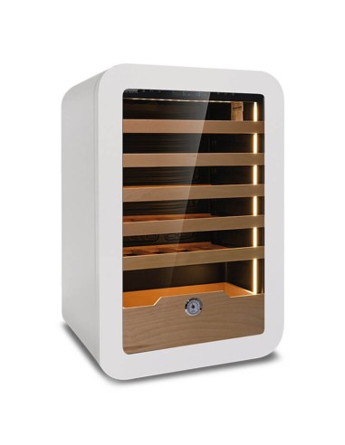 Cantinetta vetrina ventilata per vino da 36 bottiglie +2 °C / +20 °C