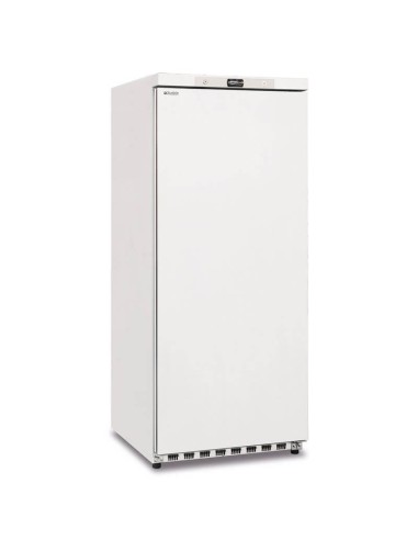 Armadio freezer statico con agitatore -22 °C / -15 °C 600 lt