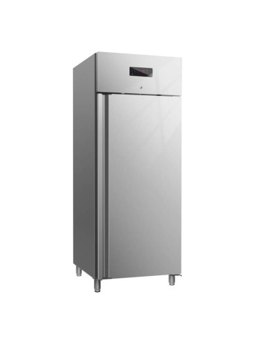 Armadio congelatore professionale in acciaio inox da 700 litri