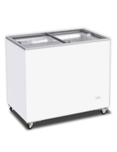 Conservatore Orizzontale a Pozzetto 401L con Scorrevoli in Vetro
