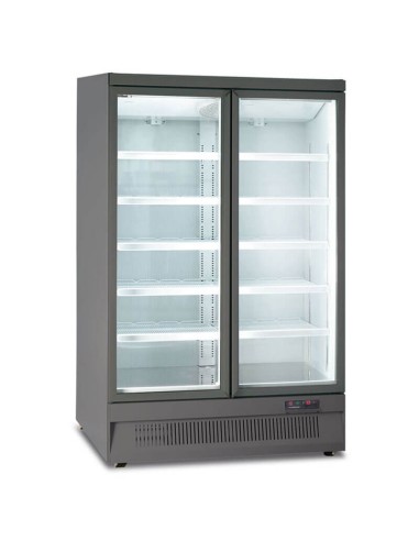 Armadio murale no frost negativo 2 porte